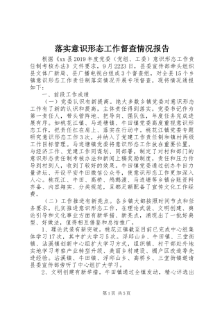 落实意识形态工作督查情况报告
