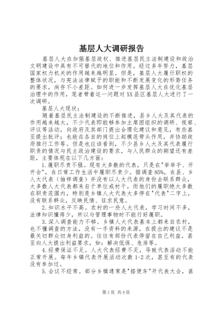 基层人大调研报告