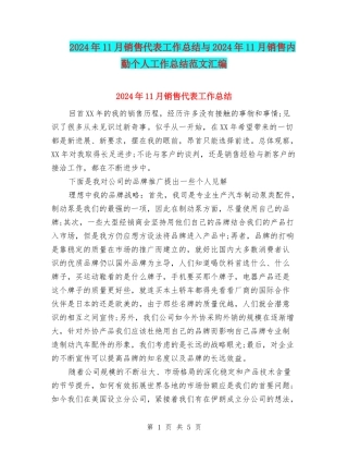 2024年11月销售代表工作总结与2024年11月销售内勤个人工作总结范文汇编