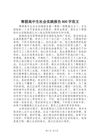 寒假高中生社会实践报告800字范文