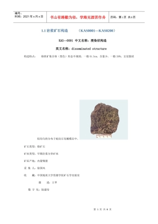 岩浆矿石构造