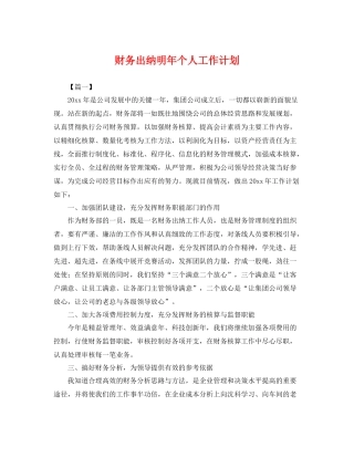 财务出纳明年个人工作计划 