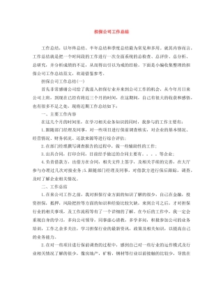 担保公司工作总结 