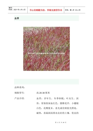 园林观赏草—图文并茂(1)