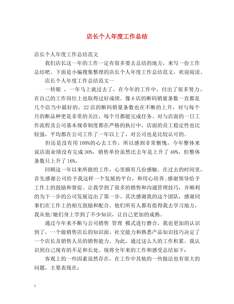 店长个人年度工作总结 _第1页