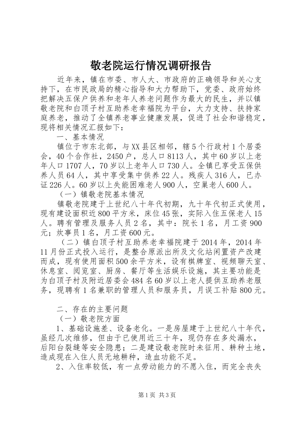 敬老院运行情况调研报告_第1页