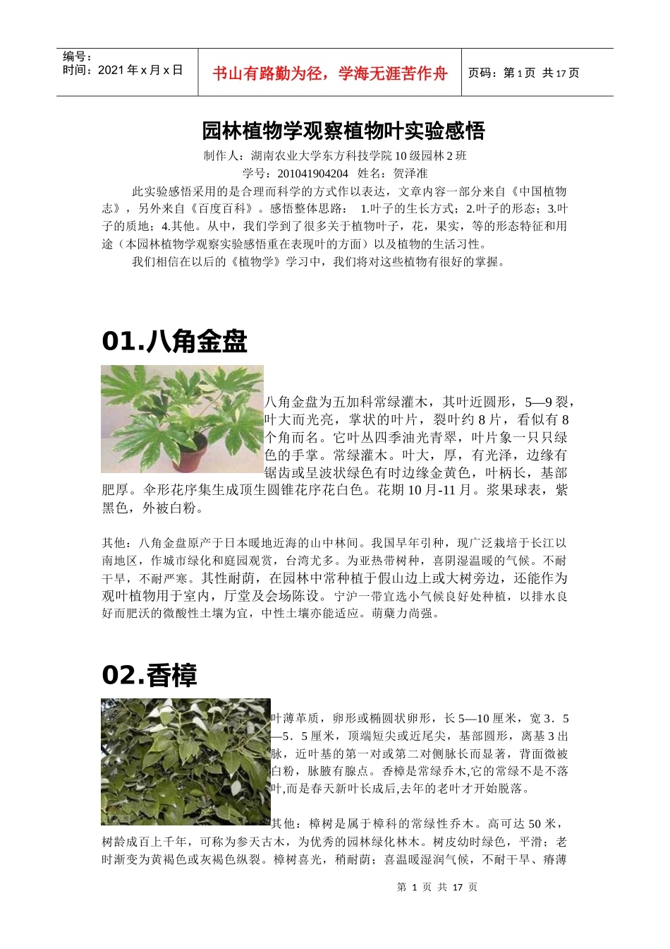 园林植物学观察植物实验感悟_第1页