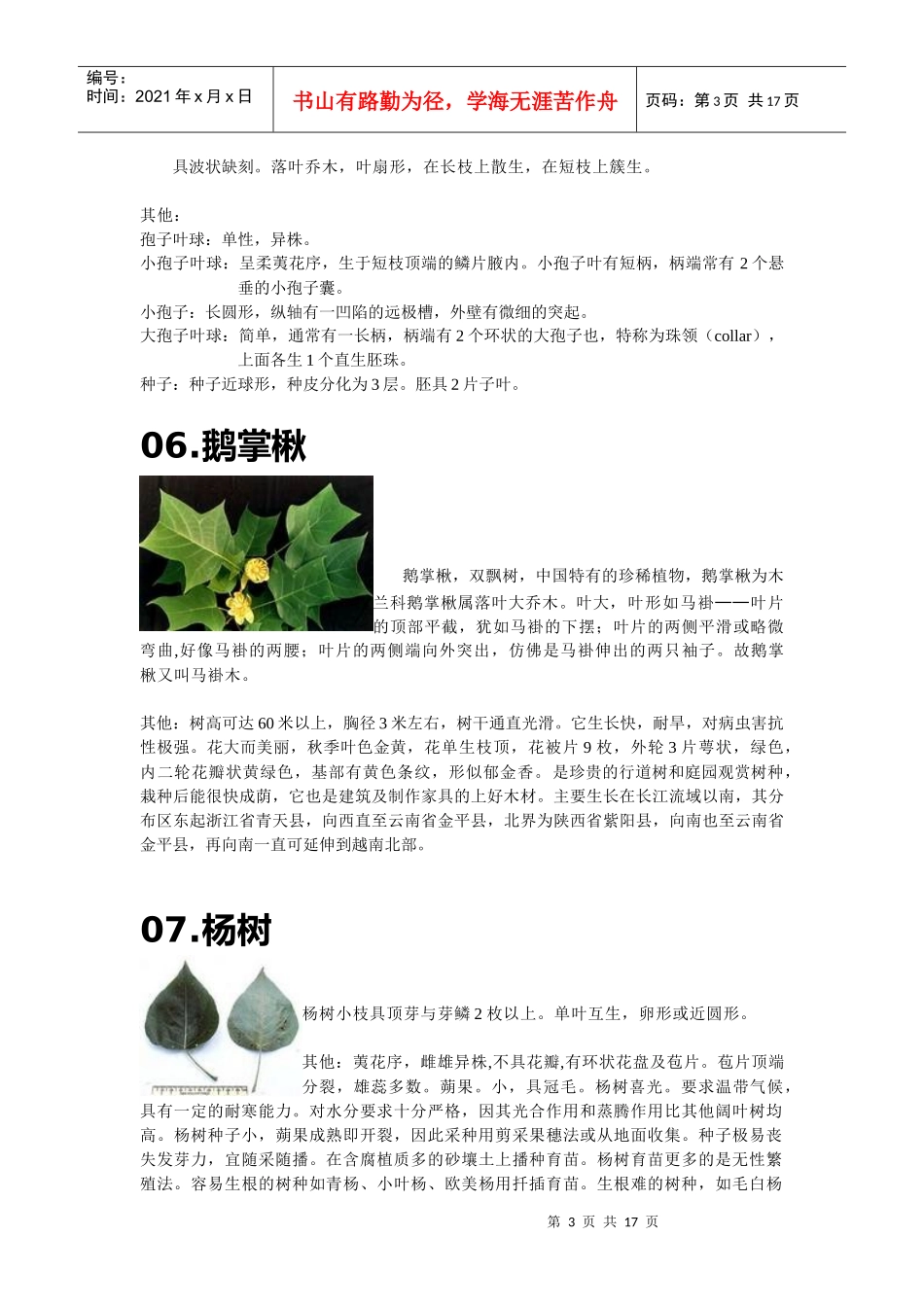 园林植物学观察植物实验感悟_第3页