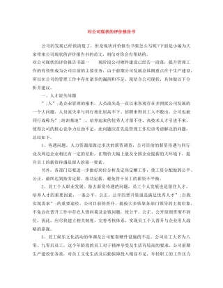 对公司现状的评价报告书 