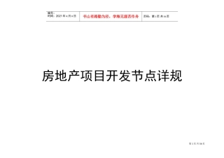 房地产项目开发节点详规(DOC55页)