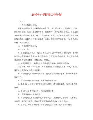 农村中小学财务工作计划 