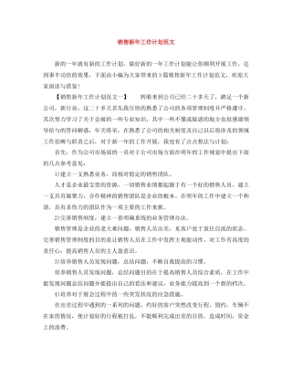 销售新年工作计划范文 