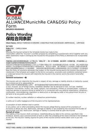 慕尼黑再保险英文