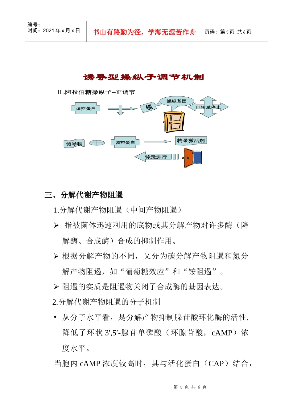 微生物初级代谢调节_第3页