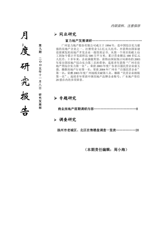 富力地产发展调研&商业房地产前期调研内容