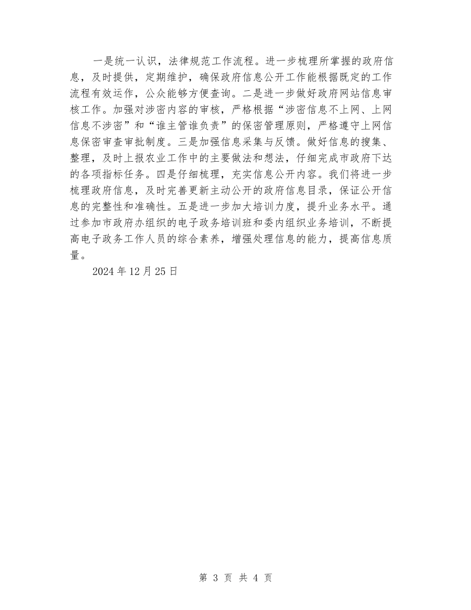 2024年电子政务工作总结_第3页