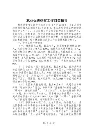 就业促进扶贫工作自查报告