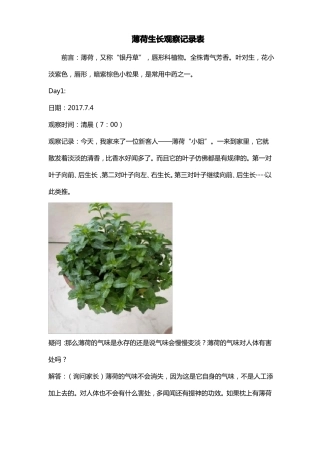 薄荷生长观察记录表
