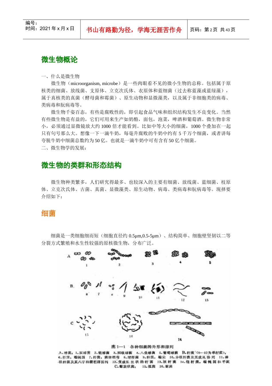 微生物基础知识_第2页
