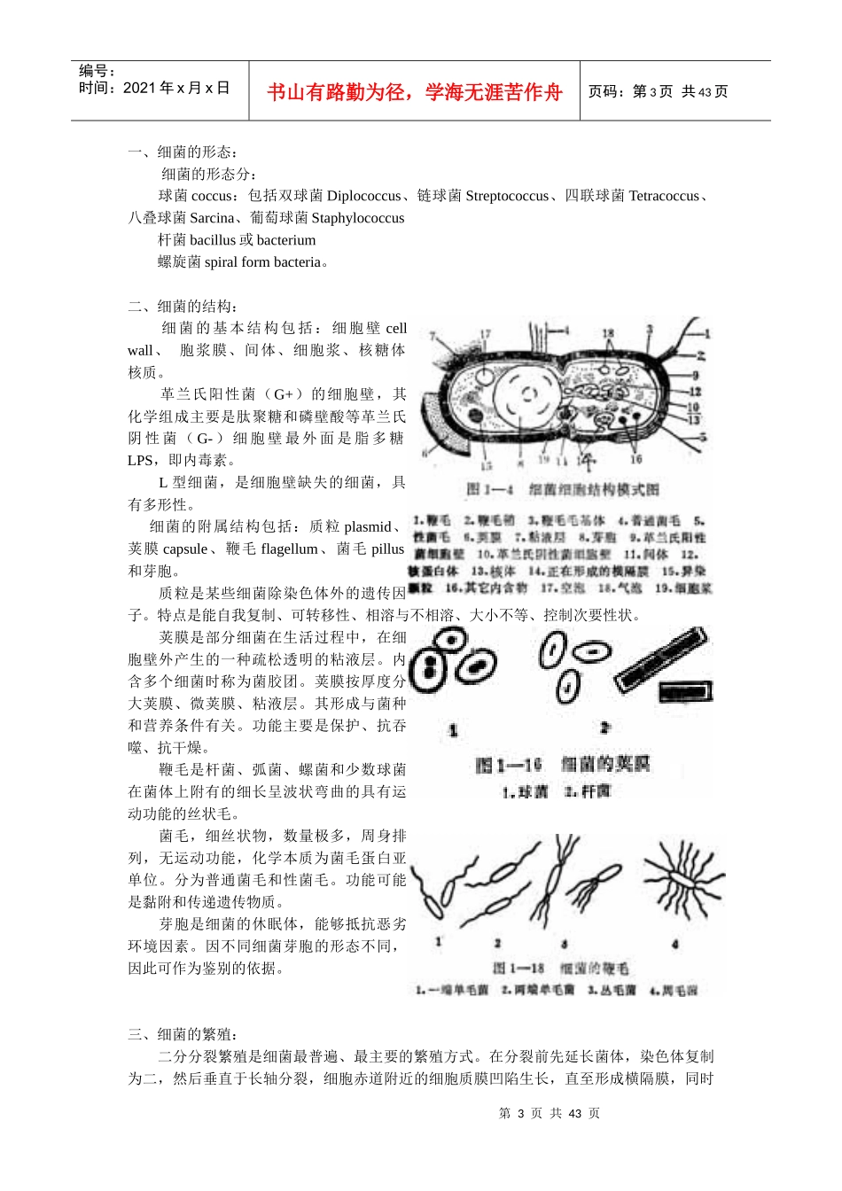 微生物基础知识_第3页