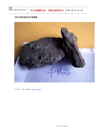 各种标准岩石矿物高清图集【124P】