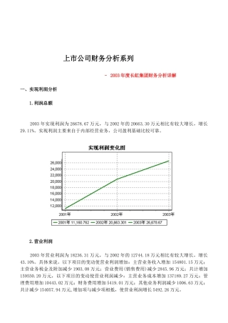 长虹集团年度财务分析详解