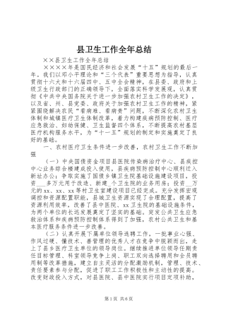 县卫生工作全年总结
