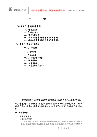 小麦王嗥酒广告策划完美版