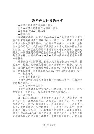 净资产审计报告格式