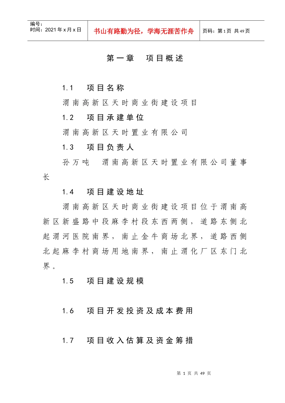商业步行街房地产项目_第1页