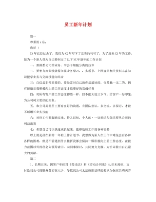 员工新年计划 