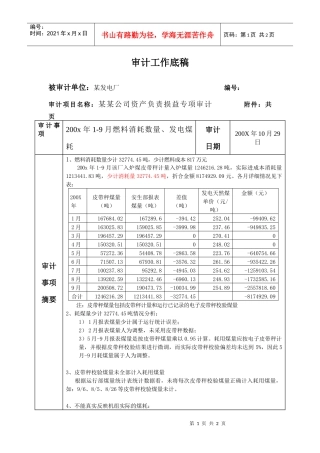 审计底稿-燃料消耗数量发电煤耗