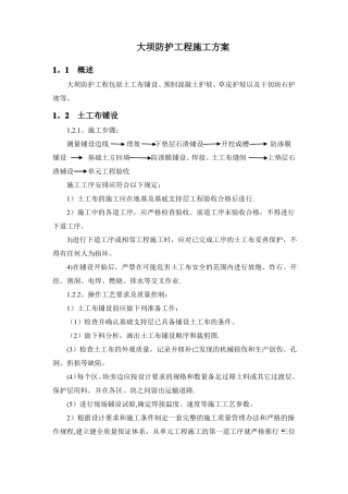 大坝防护工程施工方案