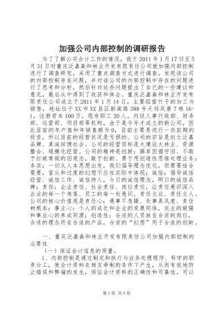 加强公司内部控制的调研报告