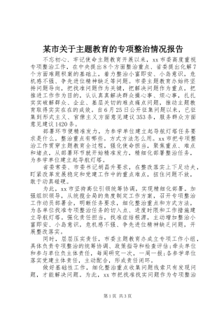 某市关于主题教育的专项整治情况报告