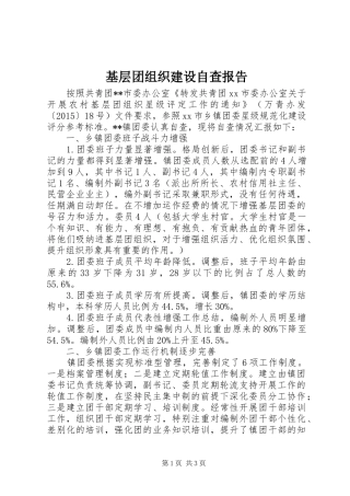 基层团组织建设自查报告