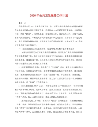 2020年公共卫生服务工作计划 