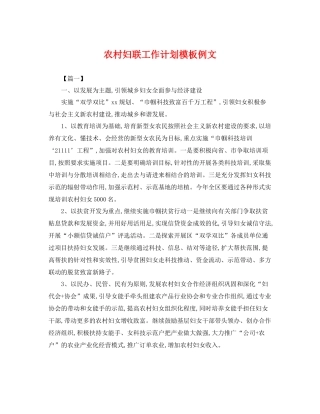 农村妇联工作计划模板例文 