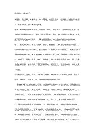 综评感动感悟与交流