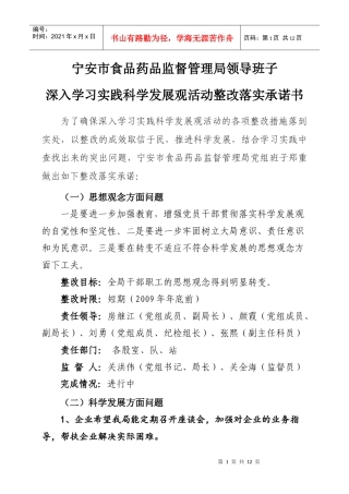 宁安市食品药品监督管理局领导班子