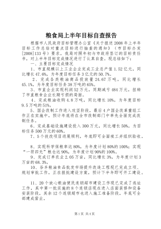 粮食局上半年目标自查报告