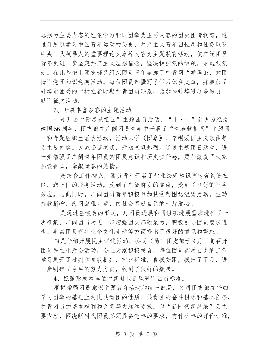 2024年度盐业局团支部书记工作总结报告_第3页