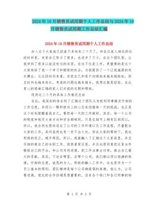 2024年10月销售员试用期个人工作总结与2024年10月销售员试用期工作总结汇编