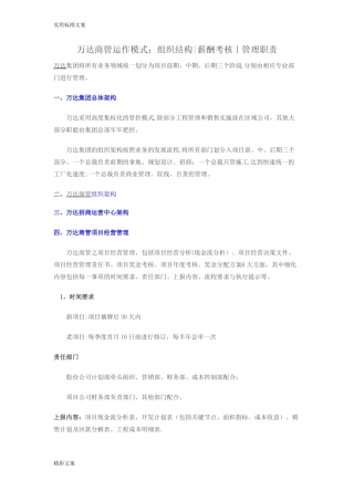 万达商业管理系统模式