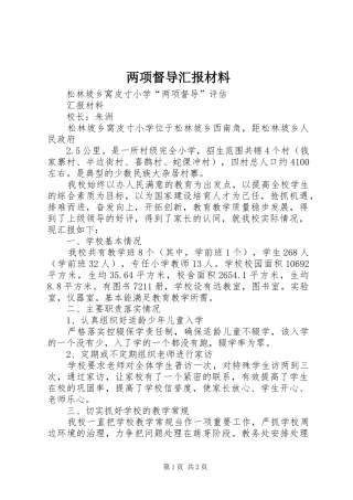 两项督导汇报材料