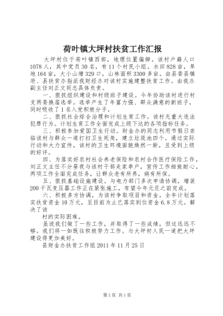 荷叶镇大坪村扶贫工作汇报