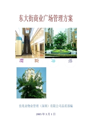 布吉东大街商业物业管理方案