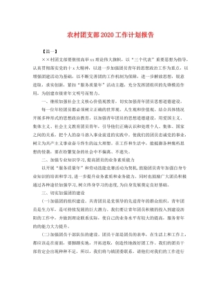 农村团支部工作计划报告 
