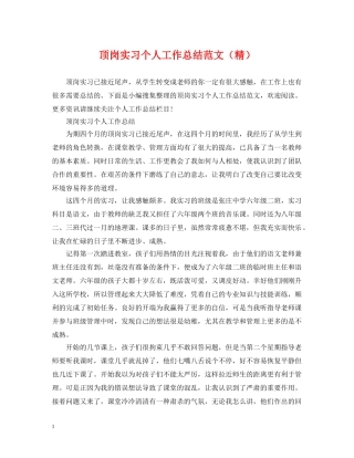 顶岗实习个人工作总结范文（精） 