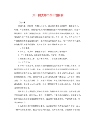 大一团支部工作计划报告 